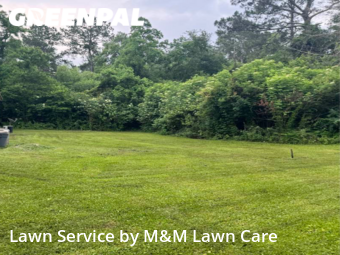 Lawn Mow nearby Prichard, AL, 