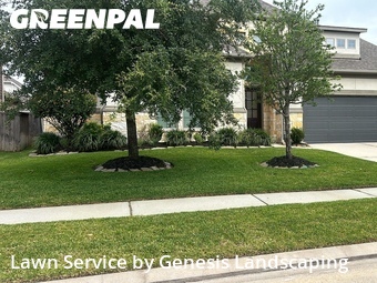 Yard Cutting nearby Tomball, TX, 