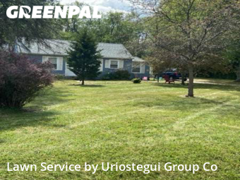 Front Yard Mowing in Wadsworth, 60083, Turf Services by Uriostegui Group Co, work completed in Dec , 2025