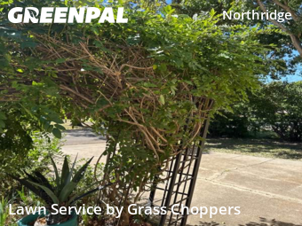 Yard Cuttingin Denton,76201,Grass Cut by Grass Choppers , work completed in Oct , 2025