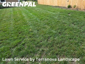 Yard Mowingin Elgin,60120,Lawn Maintenance by Terranova Landscape, work completed in Nov , 2025