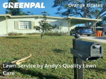 Lawn Mowingin St Petersburg,33708,Grass Cut by Andy's Quality Lawn Care, work completed in Jan , 2026