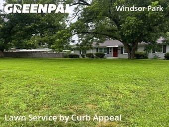 Landscape Design In Charlotte,28205,Landscaping Renovation by Curb Appeal, work completed in Jul , 2026