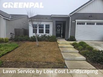 Work completed by yard-maintenance-professionals-in-Madera-CA