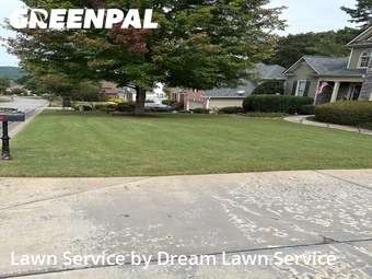 Lawn Mowing nearby Ball Ground, GA, 