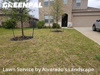 Yard Cutting nearby Magnolia, TX, 