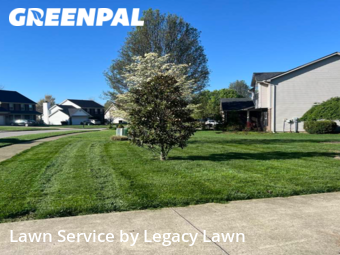 Lawn Cut nearby Prospect, KY, 