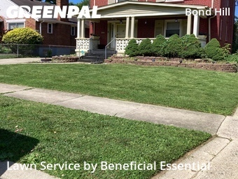 Lawn Mow nearby Cincinnati, OH, 