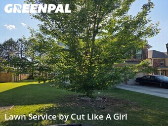 Grass Cut nearby Dallas, GA, 