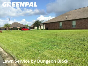 Grass Cut nearby Denham Springs, LA, 
