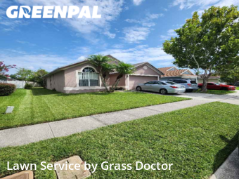 Grass Cut nearby Orlando, FL, 