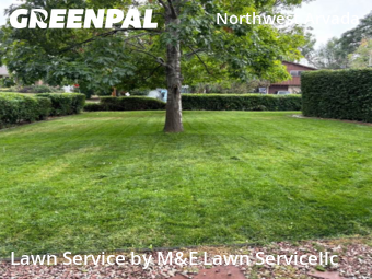 Grass Cut nearby Arvada, CO, 