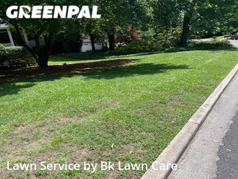 Lawn Mow nearby Rome, GA, 
