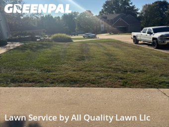 Yard Cutting nearby St. Peters, MO, 