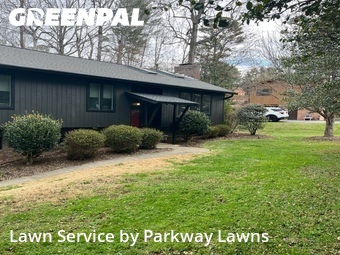 Lawn mowed in Asheville, 28805