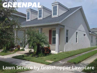 Grass Cut nearby Wesley Chapel, FL, 