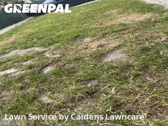Lawn Care Service nearby El Portal, FL, 