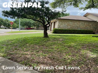Lawn Cut nearby San Antonio, TX, 