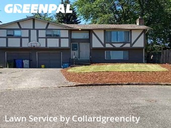 Grass Cut nearby Kent, WA, 