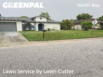 Lawn Cut nearby Safety Harbor, FL, 