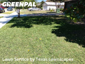 Lawn Cut nearby The Colony, TX, 