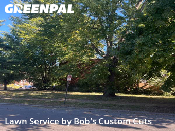 Lawn Mowing Service nearby St. Louis, MO, 