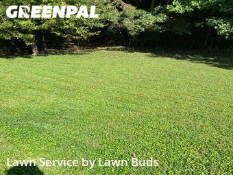 Grass Cutting nearby Charlotte, NC, 