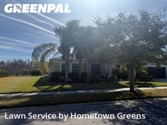 Lawn Cut nearby Zephyrhills, FL, 
