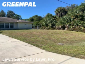 Mowing Services in North Port, 34286, Weekly Mowing by Lawn Pro, work completed in Nov , 2025