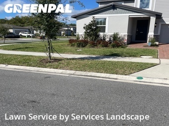 Grass Cut nearby Saint Cloud, FL, 