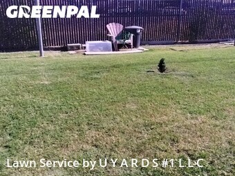 Lawn Mowing Service nearby Riverbank, CA, 