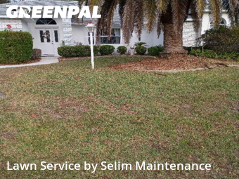 Weed Trimming in Palm Coast, 32137, Yard Grooming by Selim Maintenance, work completed in Dec , 2025