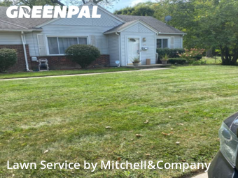 Turf Services in Pontiac, 48341, Landscaping Maintenance by Mitchell&Company, work completed in Nov , 2025