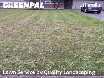 Turf Services in Bellevue, 98007, Mowing Services by Quality Landscaping, work completed in Dec , 2025