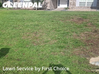 Lawn Mow nearby Palm Coast, FL, 