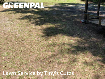 Grass Cut nearby Valdosta, GA, 