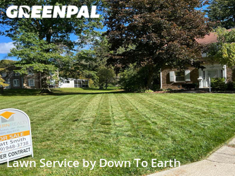 Lawn Cut nearby Saginaw, MI, 