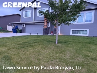 Yard Cutting nearby Papillion, NE, 