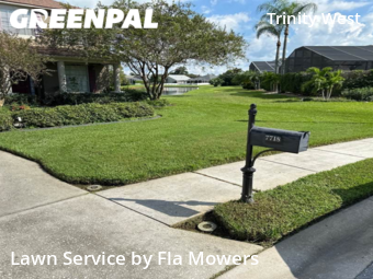 Lawn Maintenance nearby Trinity, FL, 