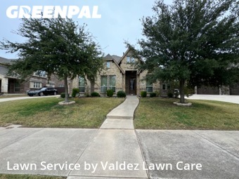Lawn Cut nearby De Soto, TX, 