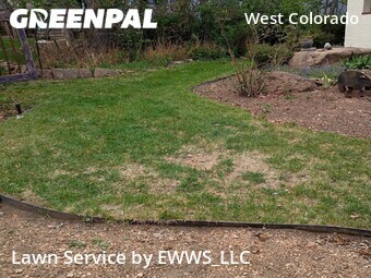 Grass Cut nearby Manitou Springs, CO, 