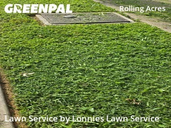 Lawn Maintenancein Nashville,37206,Lawn Mow by Lonnies Lawn Service, work completed in Jun , 2026
