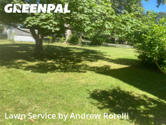 Lawn Mow nearby East Syracuse, NY, 