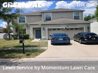 Lawn Maintenance nearby Tampa, FL, 