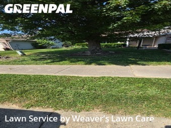 Grass Cut nearby Greenwood, IN, 