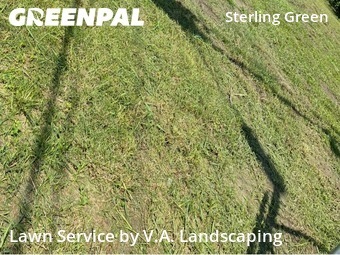 Yard Upkeep in Channelview, 77530, Lawn Upkeep by V.A. Landscaping, work completed in Dec , 2025