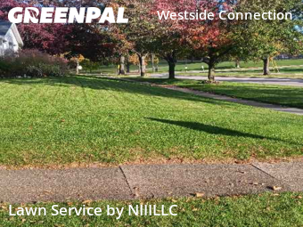 Commercial Landscaping In Grand Rapids,49504,Landscaping Maintenance by NIIILLC, work completed in Oct , 2025