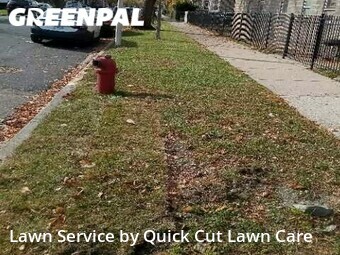Lawn Mowing nearby Chicago, IL, 