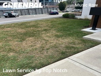 Grass Cutting nearby Nashville, TN, 