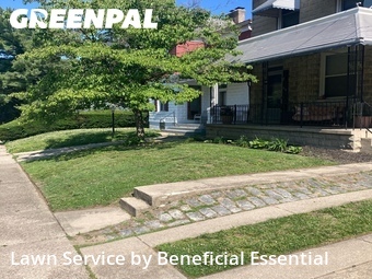 Lawn Maintenance nearby Cincinnati, OH, 